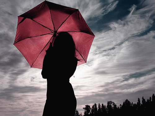 238919636_2175e1dd3a no importa