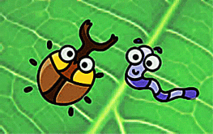 gusano y escarabajo 3