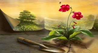 vale la pena cada espina w