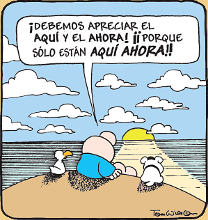 ziggy-aqui-y-ahora_by-tom-wilson