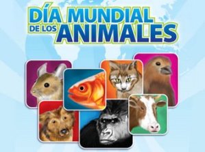dia-mundial-de-los-animales_-4-de-octubre