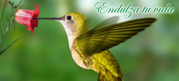 Que-endulza-tu-vida-Slishow-Eventos-Taoistas-copy1