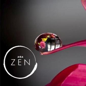 561971_487518377945904_1655807810_n