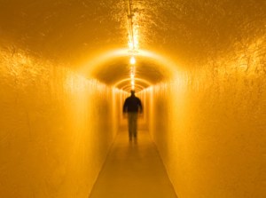 vida despues de la muerte 2