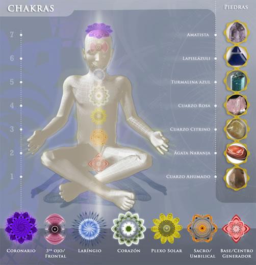 1295107063_157411948_3-Armonizacion-y-Activacion-de-Chakras-con-gemoterapia-Salud-y-Belleza