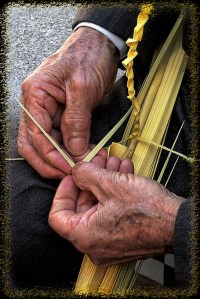 LAS-MANOS-DEL-ABUELO-a19063369