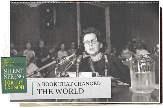 Rachel-Louise-Carson-Primavera-Silenciosa