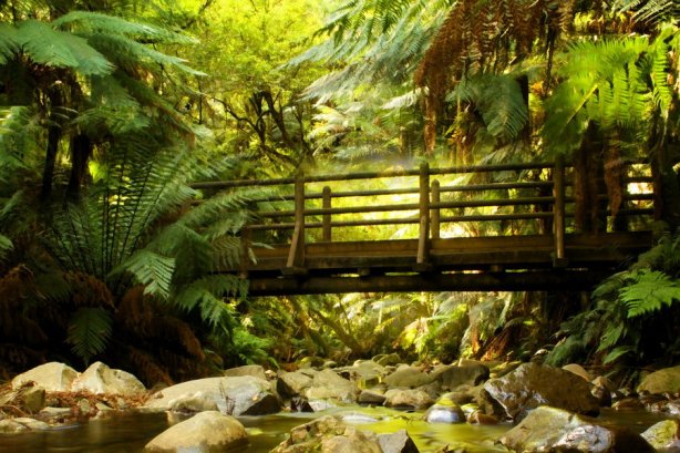 forest_bridge_stock_1_by_blaisedrew62-d37xafj