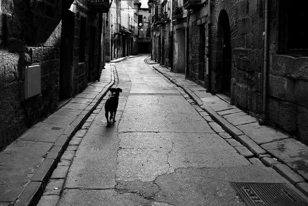 5654898675_185e496ed8_z