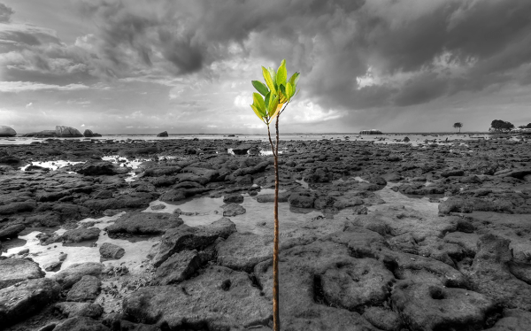 Tao_Te_Ching_Quotes_26_Verse-resized-600